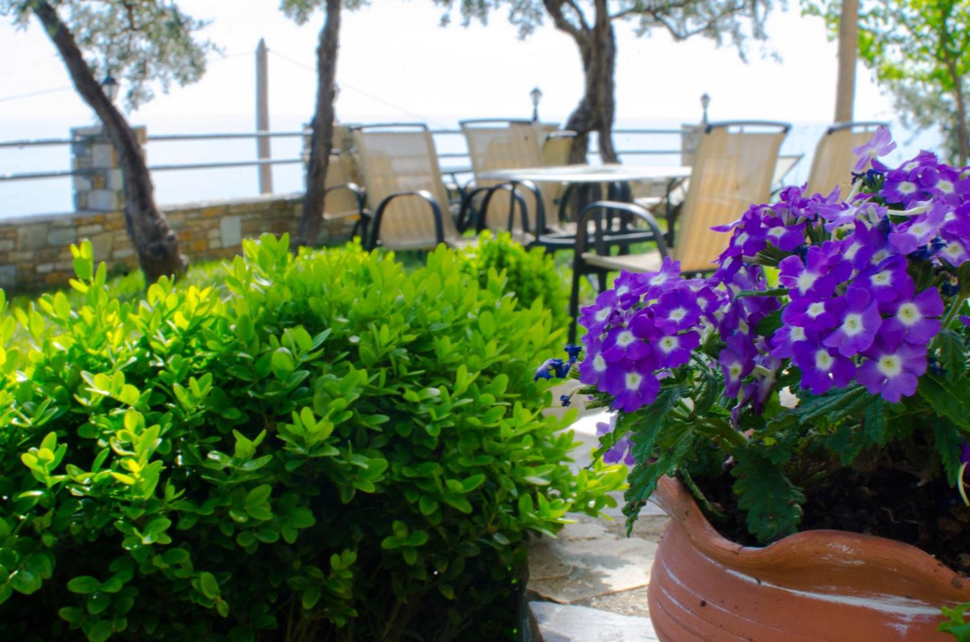 Guesthouse Enastron Chorefton Dış mekan fotoğraf
