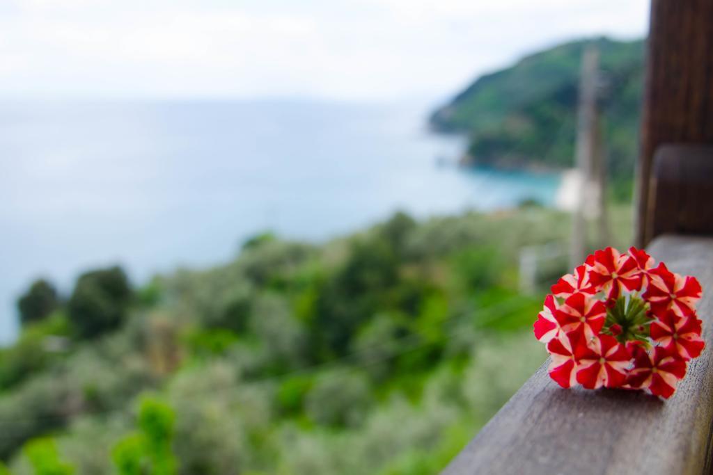 Guesthouse Enastron Chorefton Dış mekan fotoğraf