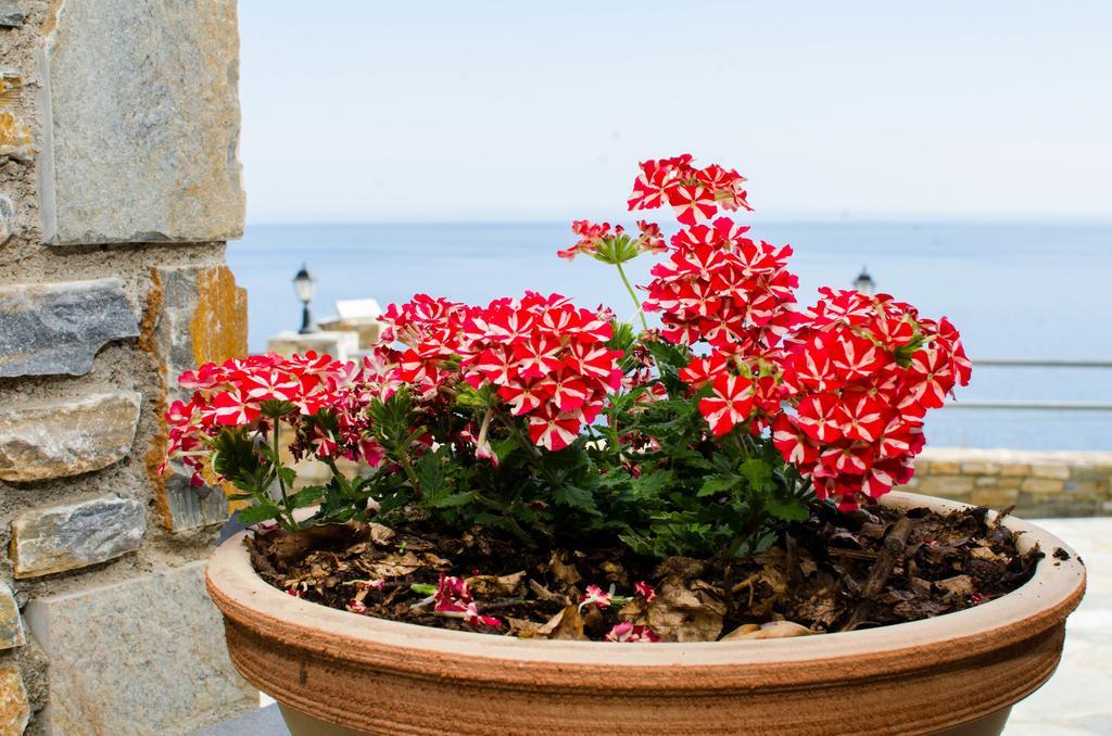 Guesthouse Enastron Chorefton Dış mekan fotoğraf